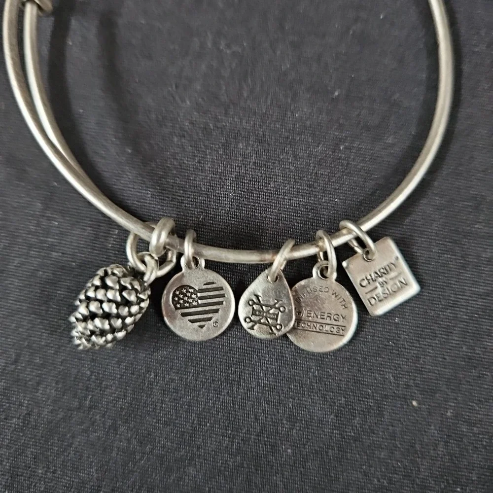 Alex and Ani Pine Cone Charm Bracelet NIB Silver Expandable Bangle